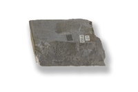 M 01823
<br/>
<br/>
<em></em>